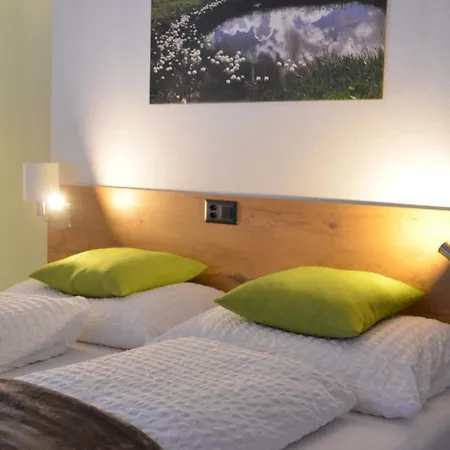 아파트 Chasa Ravaischa 삼나운